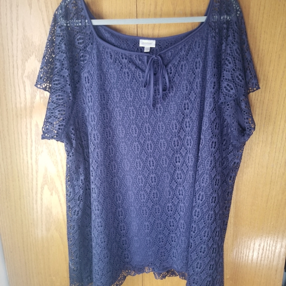Elegant Lace Top in Blue